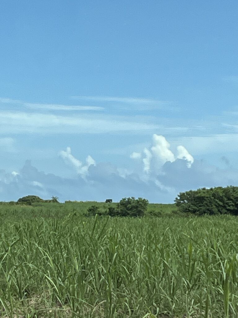 伊良部雲2